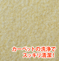 カーペットの洗浄でスッキリ清潔!